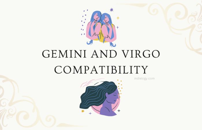 gemini and virgo