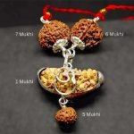 1-5-6-7-mukshi-rudraksha