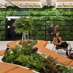 Biophilic Office Wall Designs