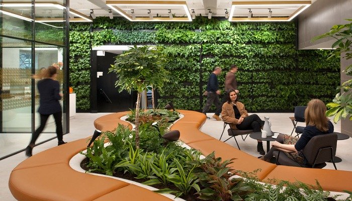 Biophilic Office Wall Designs