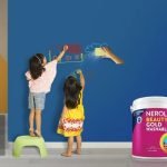 Nerolac Paints