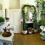 Shelf and Ledge Décor