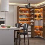 Walk-In Pantry Design Ideas