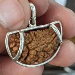 ek-mukhi-rudraksha