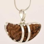 wearing-ek-mukhi-rudraksha