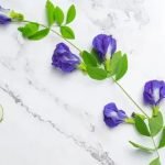 Combining Aparajita with Other Vastu Remedies_