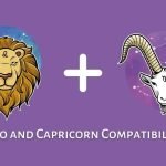 Compatibility Challenges and Solutions