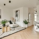 Ideal Placement of Hibiscus Plant as Per Vastu