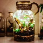 Magical Light_ Terrarium-Inspired Glass Jar Pendants
