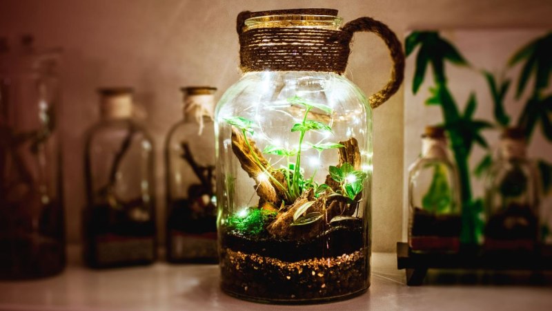 Magical Light_ Terrarium-Inspired Glass Jar Pendants
