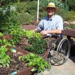 Raised Garden Beds for Wheelchair Users_ Universal Gardening