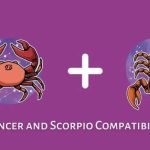 Scorpio and Cancer as Coworkers