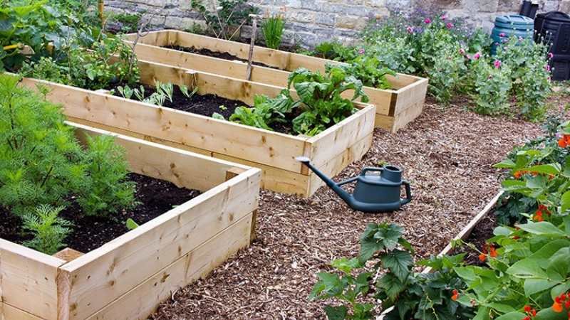 Wooden pallet beds add rustic appeal