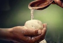 पितृ दोष के लक्षण और उपाय