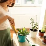 Benefits beyond Vastu