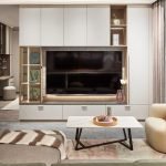 Cabinets in the living room