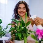 Caring for Your Lucky Plants