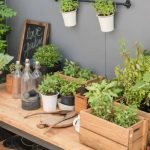 Creative Pea Plant Decor Ideas