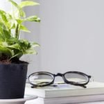 Decorative Uses of Golden Money Plants