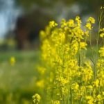 Historical Significance