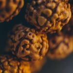 Lifespan and Growth Conditions