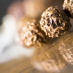 Rudraksha in Hinduism and Other Faiths