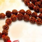 Rudraksha Mala and its Benefits