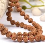 Types of Rudraksh Stones