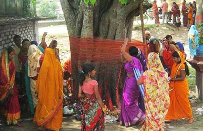 peepal ped pooja niyam