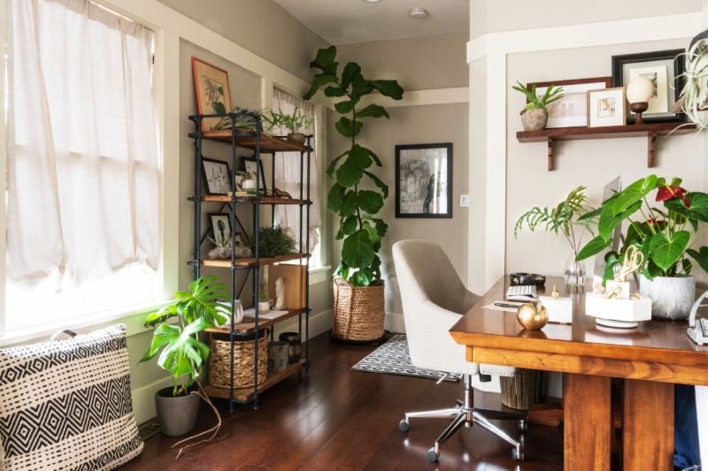 Nature inspired modern hangout room