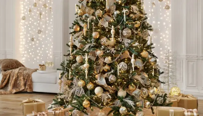 Choosing the Right Tree 