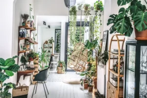 Why is plant home decoration trending