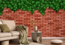Bohemian Brick Red Wall Paint Design with Textured Finish Bohemian Brick Red Wall Paint Design with Textured Finish