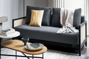 Choosing the Right Sofa Colour